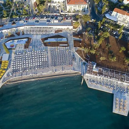 Oasis *